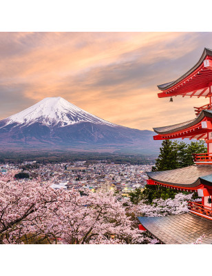 A1 – Japanisch für Anfänger/-innen - April 26